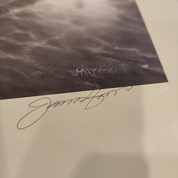 Vintage Print 346/500 Signed James Havens Captain Cook Inlet 13.5x16" Nautical - Picture 5 of 9